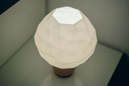 Lampa Poly