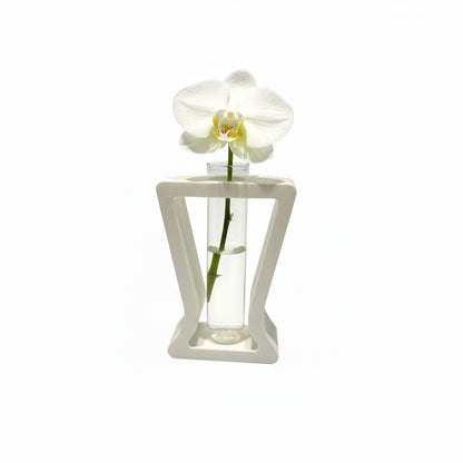 Vaza Bloom