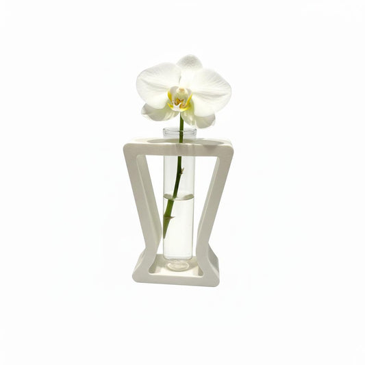 Vaza Bloom